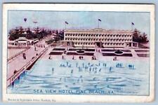 1910s SEA VIEW HOTEL PINE BEACH VA HOT AIR BALLOON & ZEPPLIN AIRSHIP IN DISTANCE picture