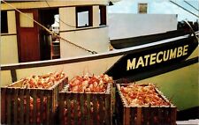 Florida Lobsters Dock Key West Florida FL Matecumbe Boat Postcard VTG UNP Dexter picture