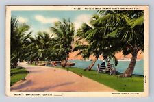 Miami FL-Florida, Tropical Walk in Bayfront Park, Antique Vintage Postcard picture