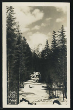 WA Snohomish County RPPC 1940's MT. DICKERMAN near BIG FOUR INN by Ellis 5032 picture
