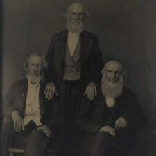 Three Wise Gentlemen 1860 Tintype Beards Gray Hair Old Mature Distinguished Men picture