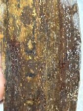 Bronzite Slab 5.3 Ounces Cab Jasper Agate M134 picture