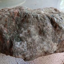 Native American Virginia  Effigy Stone VIRGINIA . ANCIENT 66 MILLION YEARS OLD picture