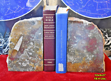 Extra LARGE FOSSIL BOOKENDS w/ Orthoceras Ammonite etc * 12x8x3