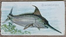 1910 T58 American Tobacco Fish Series Swordfish picture