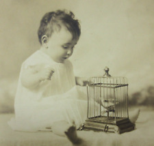 Vintage Singing Bird Automaton Cage Cute Baby (Photo) Keywind circa 1920-30s picture