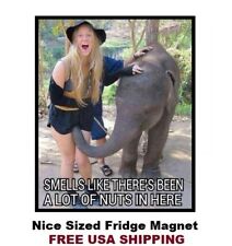 561 -Funny Humor Elephant Nuts Refrigerator Fridge Magnet picture