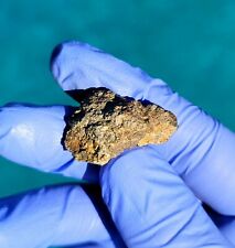 Meteorite**NWA 13788, NEW LUNAR MELT BRECCIA**8.343 gram, RARE W/GOLDEN CLASTS picture