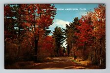 Harrison OH-Ohio Greetings, Colorful Autumn Scenic View Vintage Postcard picture