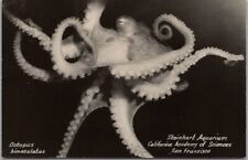 SAN FRANCISCO, California RPPC Photo Postcard STEINHART AQUARIUM Octopus View picture