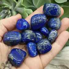 3Pc Natural Lapis Lazuli Tumble Pocket Stone Chakra Polished Crystal Minerals picture