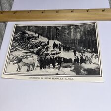 Antique 1909 Image: Lumbering in Kenai Peninsula with Horses Alaska AK History picture