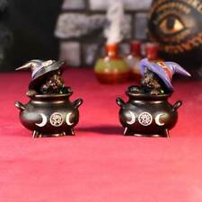 Nemesis Now - Hubble and Bubble Witches Familiar Black Cat and Cauldron Figur... picture