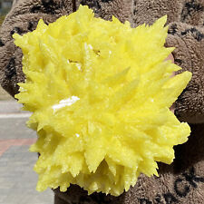 8.44LB Rare yellow sulfur crystal quartz crystal mineral specimen picture
