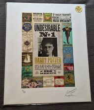MINALIMA Harry Potter Undesirable No 1 Limited Edition 250 Signed Matted Print picture
