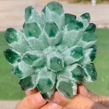 430G Newly discovered green phantom quartz crystal cluster minerals picture