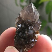 14g Rare SMOKY PHANTOM SPIRIT QUARTZ Fairy Cactus Crystal Mineral Cluster picture