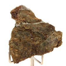 Perovskite + Vesuvianite. 170.0 Ct. Rock Of Farinole, Olmeta-Di-Capocorso, Ha picture