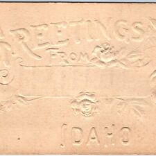 c1910s RARE Idaho Greetings Without Town / City Embossed Stock Postcard A117 picture