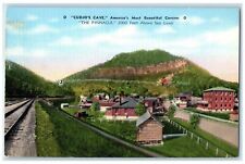 c1940's Cudjo's Cave The Pinnacle Cumberland Gap Tennessee TN Railroad Postcard picture