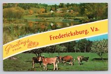 Greetings From Fredericksburg Va. Chrome Postcard 1016 picture