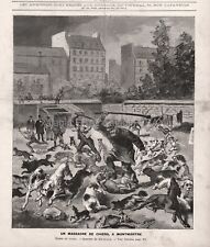 Dog Cruelty Dogs Killed By Police Paris, Rabies Scare, Large 1880s Antique Print picture