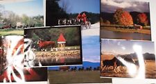 1995 BUDWEISER CLYDESDALES Beer Wagon Photo Chromalin Matchprint Proofs picture