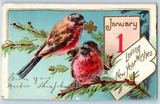 Hazen ND Postcard New Year Wishes Birds With Clover Clapsaddle Embossed c1905 picture