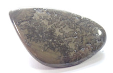 COTHAM MARBLE TUMBLESTONE - 3.5 x 2.0 cms 8.99 gms #21 - stromatolites UK picture