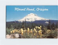 Postcard Mount Hood Oregon USA picture