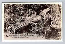 Silver Springs FL-Florida RPPC Cannibal Alligator Reptile Institute Old Postcard picture