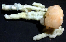 CLASSICAL FORMATION OF STALACTITE CORAL W/ STILBITE BOW AND APOPHYLLITE CRYSTALS picture