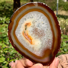 101G  Natural and Beautiful Agate Geode Druzy Slice Extra Large Gem picture