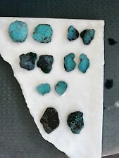 Nacozari turquoise Rough.  Comes From Sonoran Area Of Mexico. picture