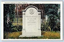 c1920's Theodore Roosevelt's Tomb Oyster Bay Long Island New York NY Postcard picture