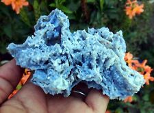 CHALCEDONY Coral FORMATION Minerals A-4.24 picture