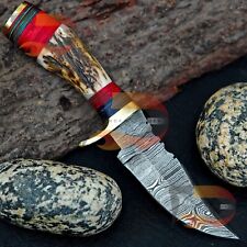 HANDMADE DAMASCUS CUSTOM STAG/ANTLER FIXED BLADE HUNTING KNIFE/BRASS / SHEATH picture