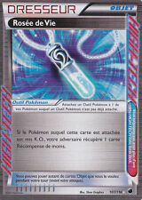 Dew of Life - NB09:Plasma Glaciation - 107/116 - French Pokemon Card picture