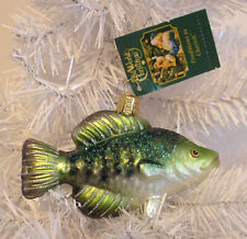 2021 OLD WORLD CHRISTMAS - CRAPPIE FISH - BLOWN GLASS ORNAMENT NEW W/TAG picture