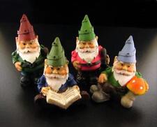 Miniature Fairy Gnome Garden 1.5