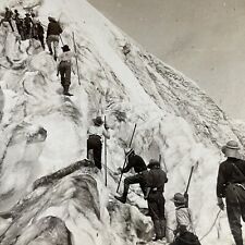 Antique 1910s Glacier Trekking Mt Ranier Washington Stereoview Photo Card P3197 picture
