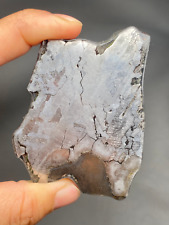99g Nantan Iron Meteorite thin slice in China 1958 picture