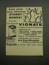 1955 Squibb Vionate Ad - Help your pup develop sturdy bones picture