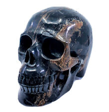 Stunning 5 Inch Black Tourmaline Artisan Crystal Skull Carving Gemstone 1152g picture