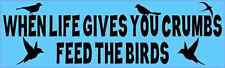 10x3 When Life Gives You Crumbs Feed the Birds Magnet Animal Car Bumper Magnets picture