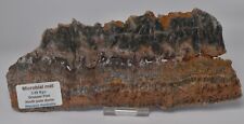 MICROBIAL MAT, Dresser Fmt, Stromatolite, North Pole Dome 200g, S1054 picture