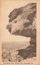 c1920s The Stone Face Irving Cliff Honesdale PA P499 picture