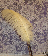 IVORY/OFF WHITE/ECRU FEATHER PEN GUESTBOOK PEN ~PRETTY~ picture