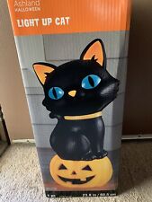 Ashland Black Cat Jack O Lantern Pumpkin Halloween Light Up Blow Mold 23.8” Tall picture