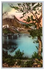 Mt Rockwell & Two Medicine Lake, Glacier Nat. Park Montana MT Postcard Albertype picture